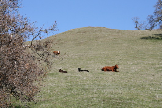 c0115366_2224544.jpg