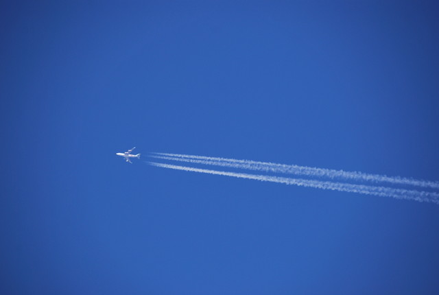 b0174068_112038.jpg