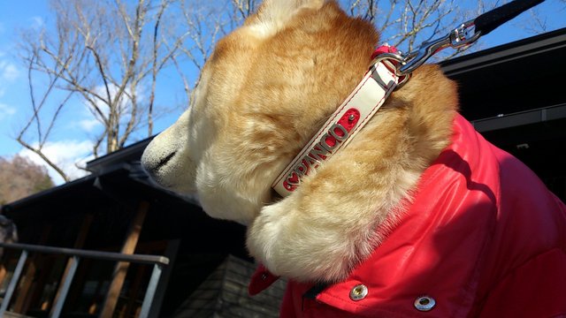 b0274270_1722138.jpg