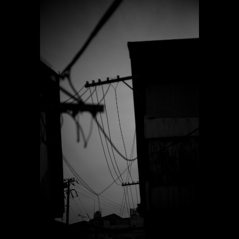 c0118173_1118955.jpg
