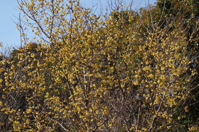 a0127090_13474689.jpg