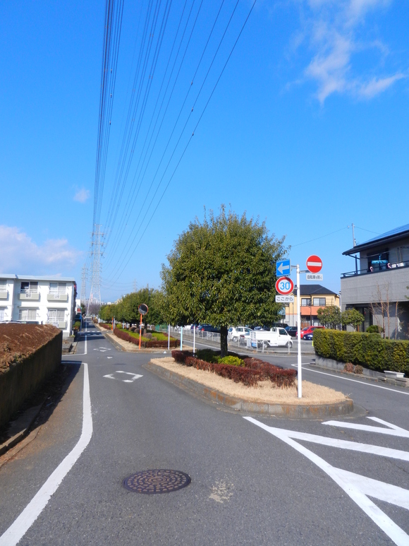 d0224990_2047121.jpg