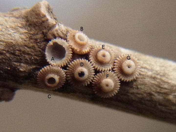 b0194593_2038917.jpg