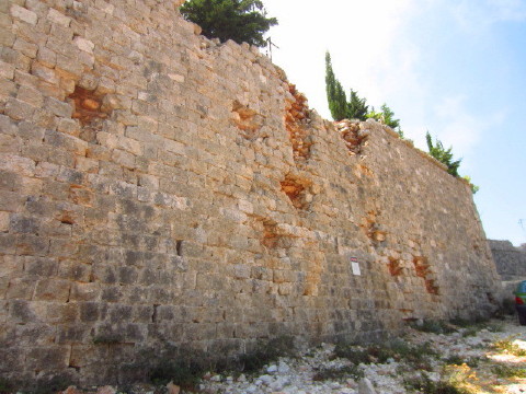 c0180096_720257.jpg