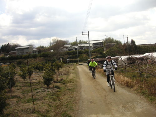 d0115997_094176.jpg