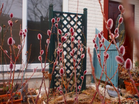 c0117007_2018781.jpg
