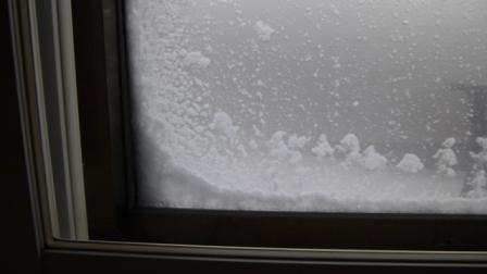 b0198109_16351468.jpg