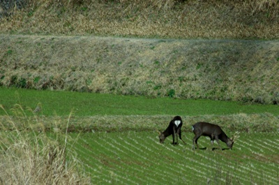 e0163212_12204995.jpg