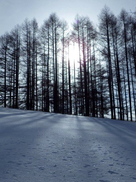 c0177814_16335837.jpg