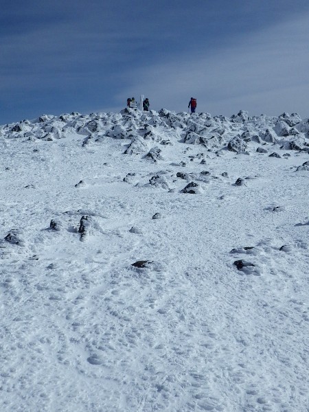 c0177814_1646043.jpg