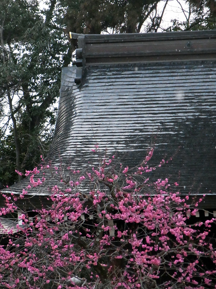 e0083517_12395812.jpg