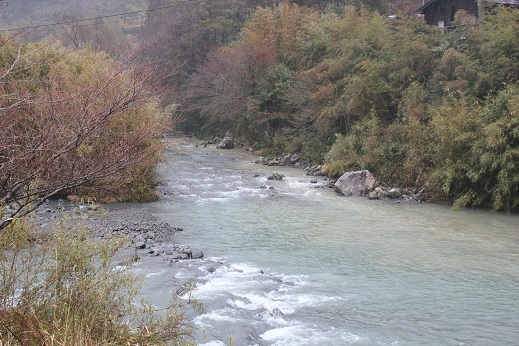 e0101917_17471862.jpg