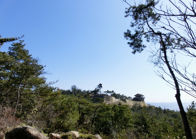 f0248120_1331431.jpg