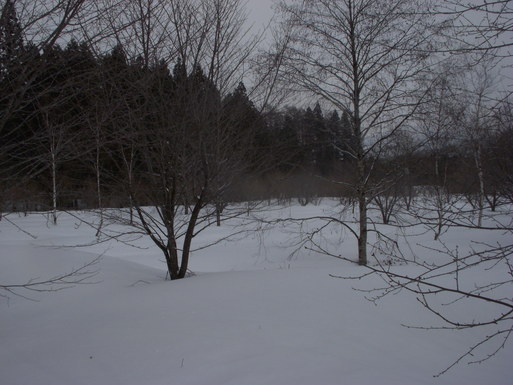 e0109622_22364256.jpg
