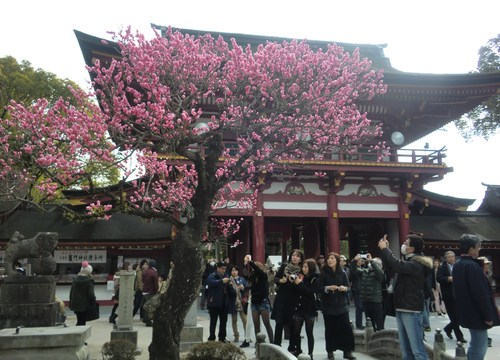 c0095424_14453941.jpg
