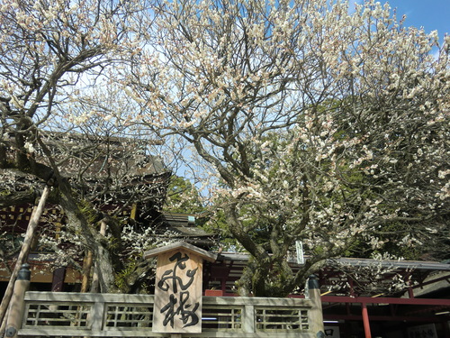 c0095424_14472319.jpg