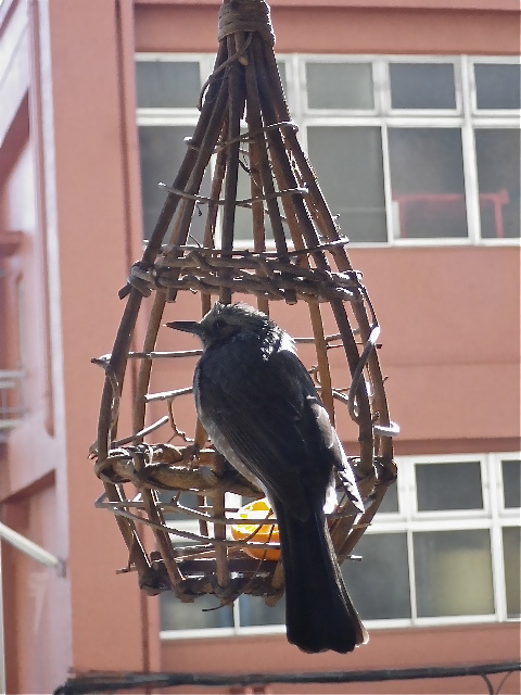 b0027736_17485981.jpg