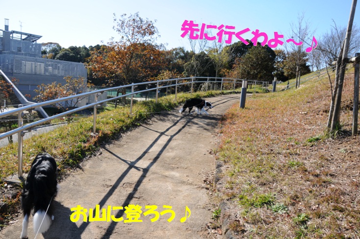 c0147241_2142015.jpg