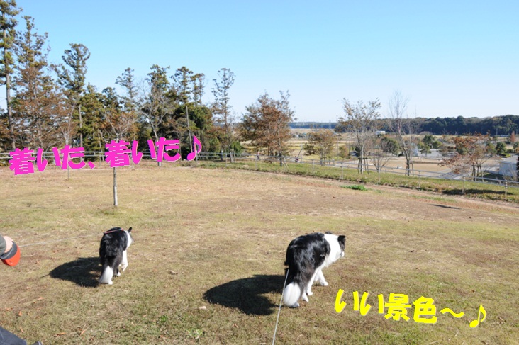 c0147241_21421071.jpg