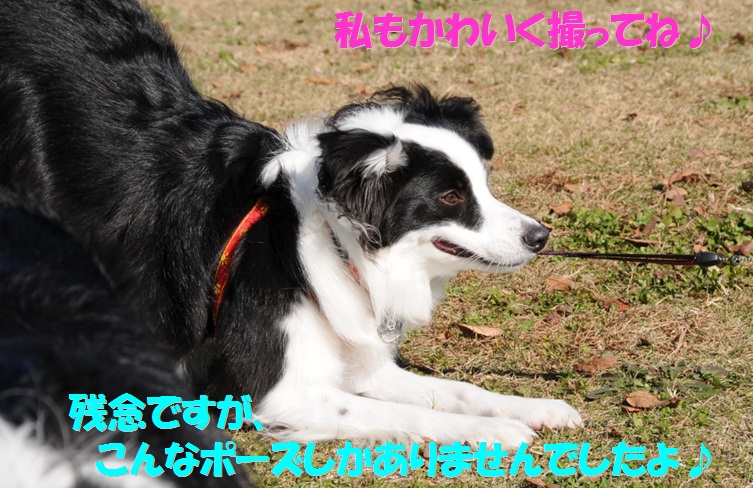 c0147241_21431243.jpg