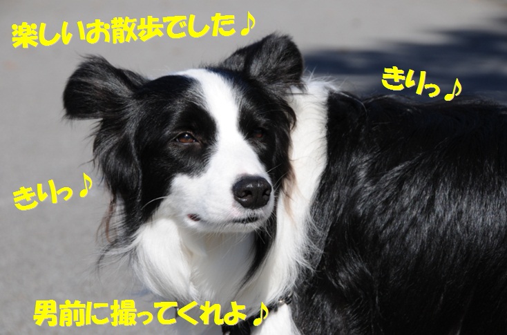 c0147241_2143693.jpg