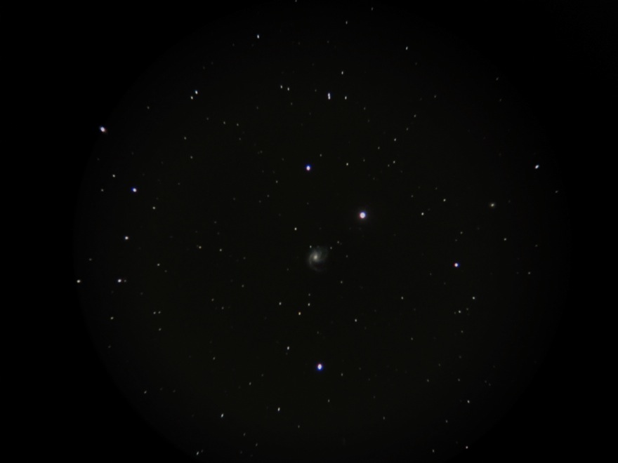 b0167343_13351868.jpg
