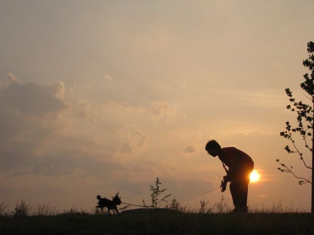 d0175746_2385779.jpg