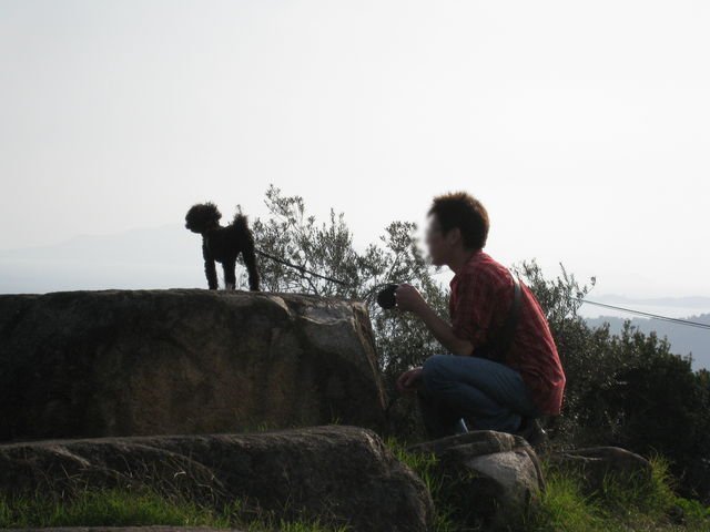 d0175746_84839.jpg