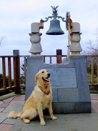 c0097558_15183618.jpg