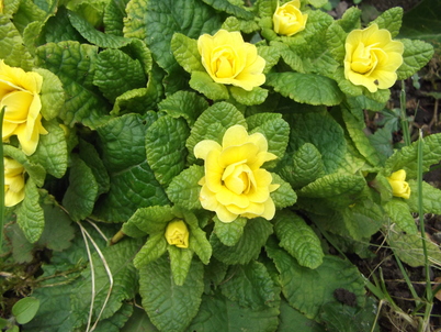 f0080372_2120129.jpg