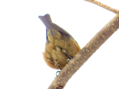 f0182173_14103181.jpg