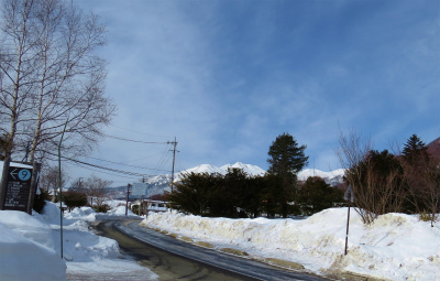 f0182173_1485053.jpg