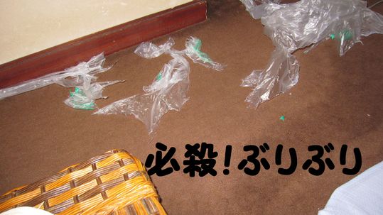 c0283778_17102914.jpg