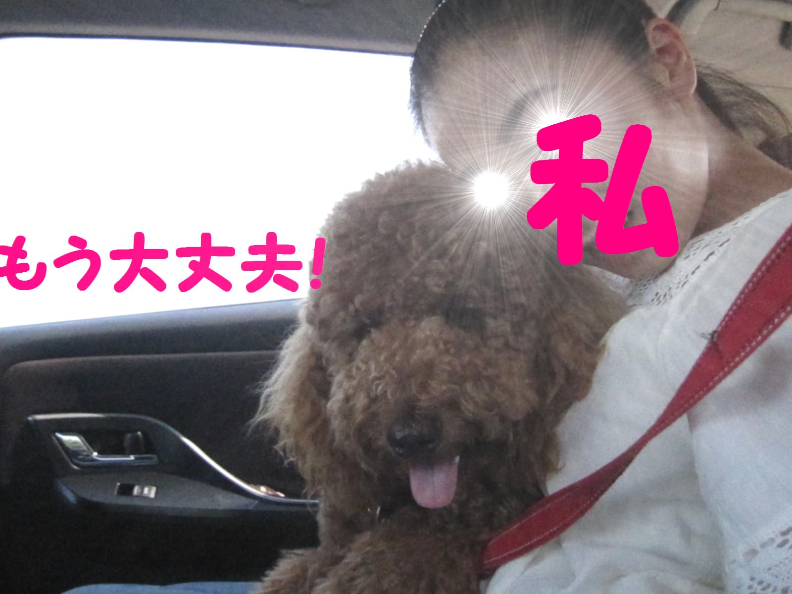 c0283778_17115579.jpg