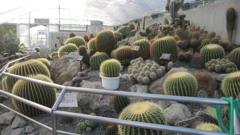 c0283778_19102928.jpg