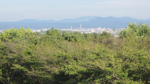 c0283778_19103021.jpg
