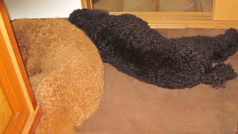 c0283778_19104551.jpg