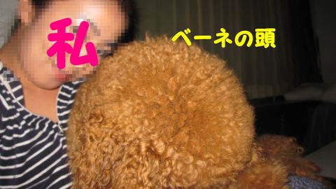 c0283778_1910564.jpg