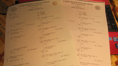 c0283778_19105973.jpg