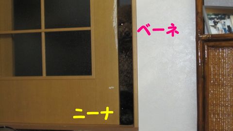 c0283778_19111646.jpg