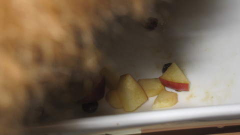 c0283778_1911774.jpg