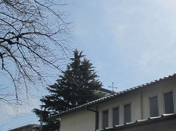a0142083_21571144.jpg