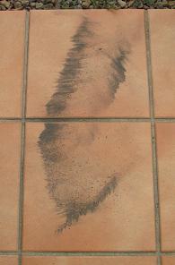 e0130185_1246312.jpg