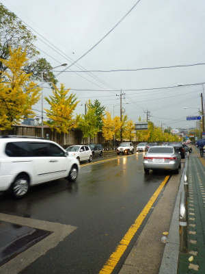 e0194987_2129403.jpg