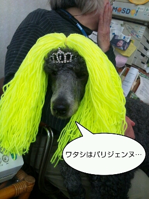 c0109891_11322937.jpg