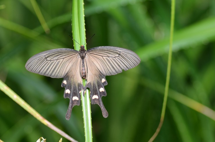 a0277496_1882452.jpg