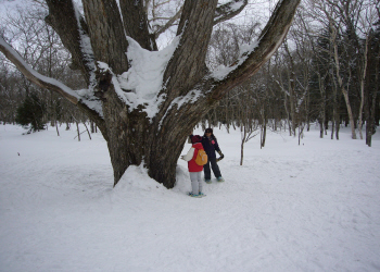 c0125996_15141536.jpg