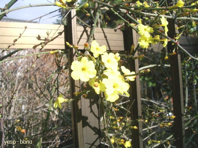 e0025300_135934.jpg