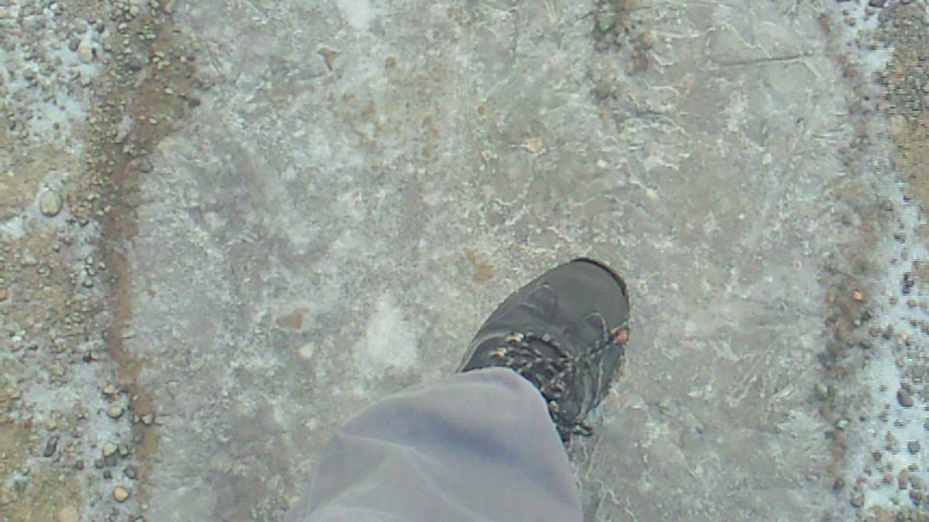 d0149105_738413.jpg