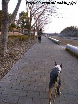 e0145805_19435842.jpg